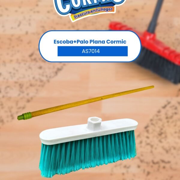 ESCOBA + PALO PLANA
